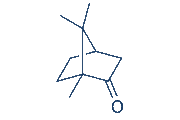 (+)-Camphor