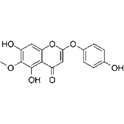 Capillarisin