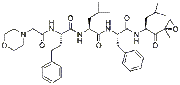 Carfilzomib