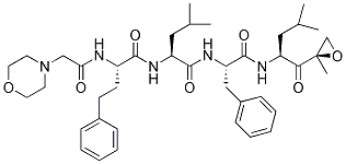 Carfilzomib