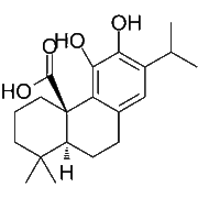 Carnosic-acid