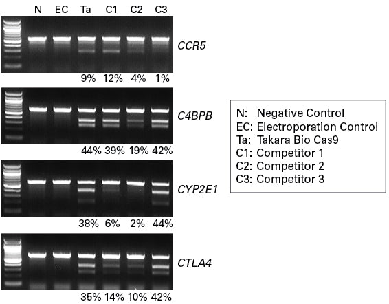 Guide-it recombinant Cas9 - Gene function - Takara Bio