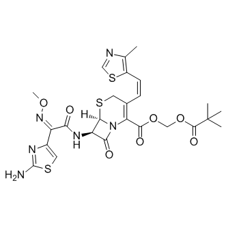 Cefditoren Pivoxil