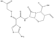 Cefixime