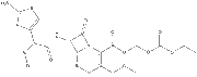 cefpodoxime proxetil