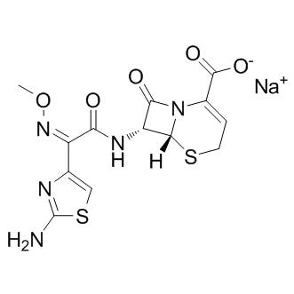 Ceftizoxime sodium
