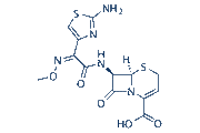 Ceftizoxime