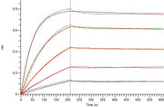Recombinant Human TSLP (C-10His)