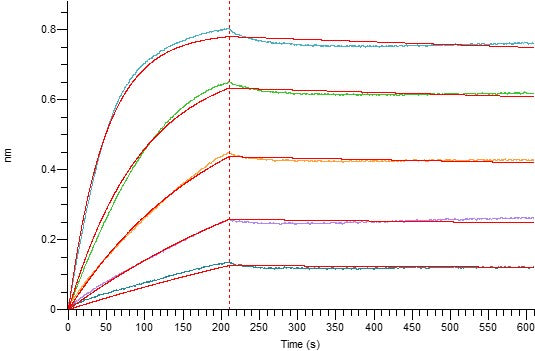 Recombinant Human TSLP (C-10His)