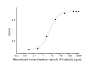 Recombinant Human IFN alpha2b