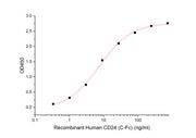 Recombinant Human CD24 (C-Fc)