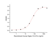 Recombinant Human Siglec-10 (C-Fc)