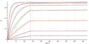 Recombinant Human IL-4 (C-Fc)