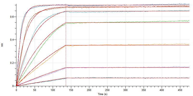 Recombinant Human IL-4 (C-Fc)