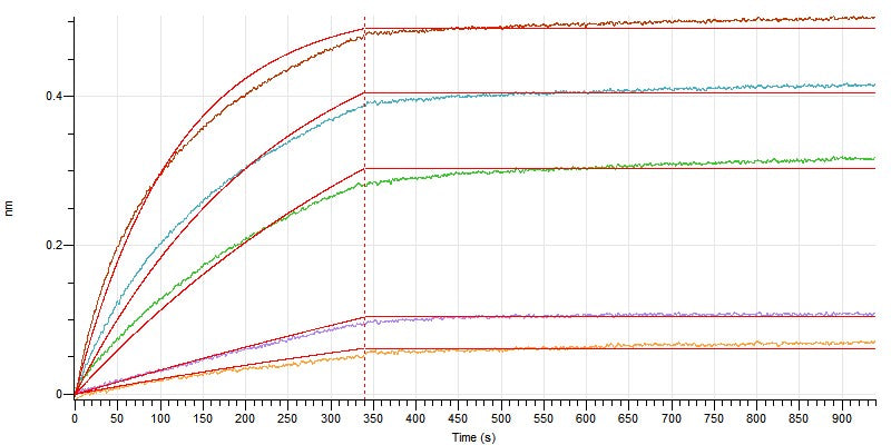Recombinant Human IL-17A