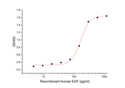 Recombinant Human EGF