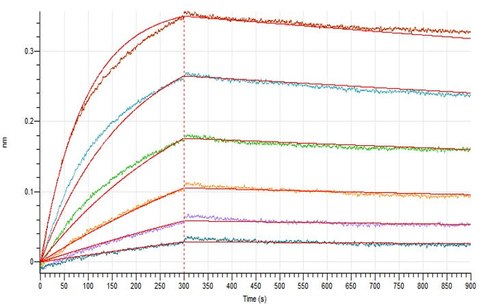 Recombinant Cynomolgus Nectin-4 (C-Fc)