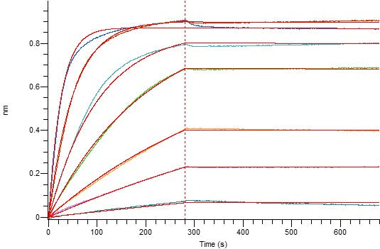 Recombinant Human TSLP (R127A, R130A, C-10His)