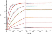 Recombinant Human TSLP (R127A, R130A, C-10His)