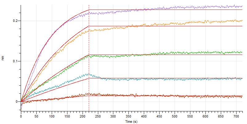 Recombinant Human GAS6 (C-Fc)