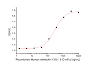 Recombinant Human IL-13 (C-mFc)
