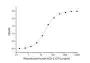 Recombinant Human ACE-2 (C-Fc)