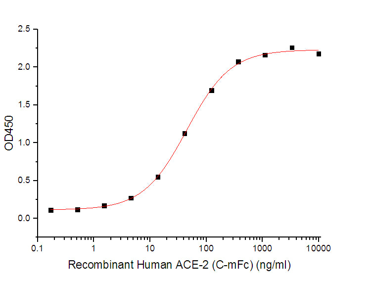 Recombinant Human ACE-2 (C-mFc)