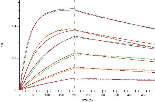 Recombinant Mouse BAFF (N-mFc)