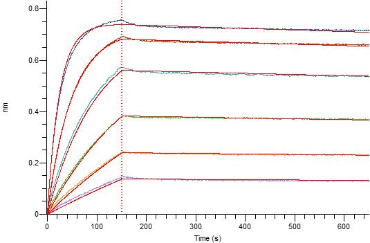 Recombinant Human TROP-2 (248AA, C-6His)