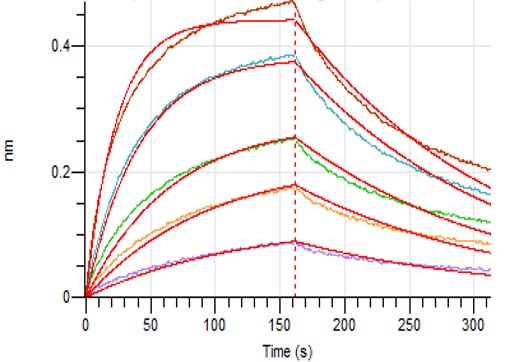 Recombinant Human PVRIG (C-Fc)