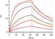 Recombinant Human PVRIG (C-Fc)
