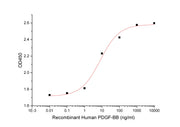 Recombinant Human PDGF-BB