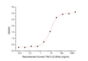 Recombinant Human TIM-3 (C-6His)