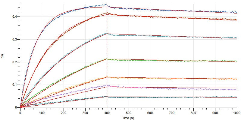 Recombinant Human/Cynomolgus CD28 (N-6His)