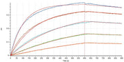 Recombinant Human ACE-2 (C-6His)