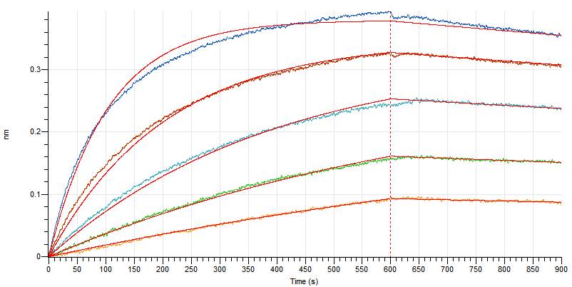 Recombinant Human ACE-2 (C-6His)