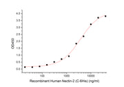 Recombinant Human Nectin-2 (C-6His)