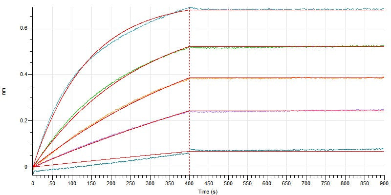 Recombinant Human CD73 (AAH65937.1, C-6His)