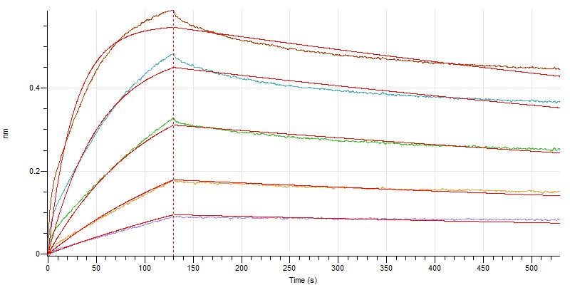 Recombinant Human PVR (C-6His)