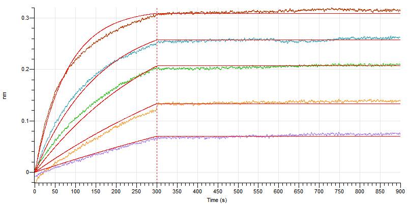 Recombinant Human PD-1 (C-mFc)