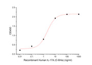 Recombinant Human IL-17A (C-6His)