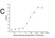 Recombinant Mouse Beta-NGF (110AA)