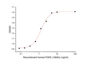 Recombinant Human FGFb (146AA)