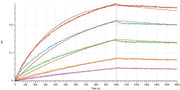 Recombinant Cynomolgus B7-H3 (C-6His)