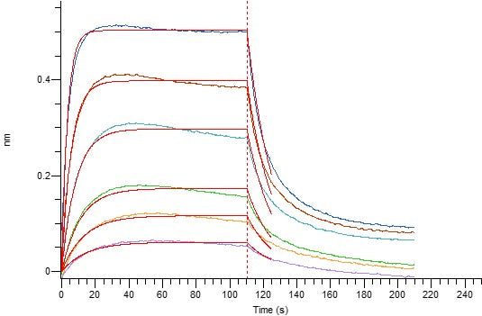 Recombinant Human PCSK9 (C-6His)