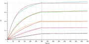 Recombinant Mouse IL-4RA (C-Fc)