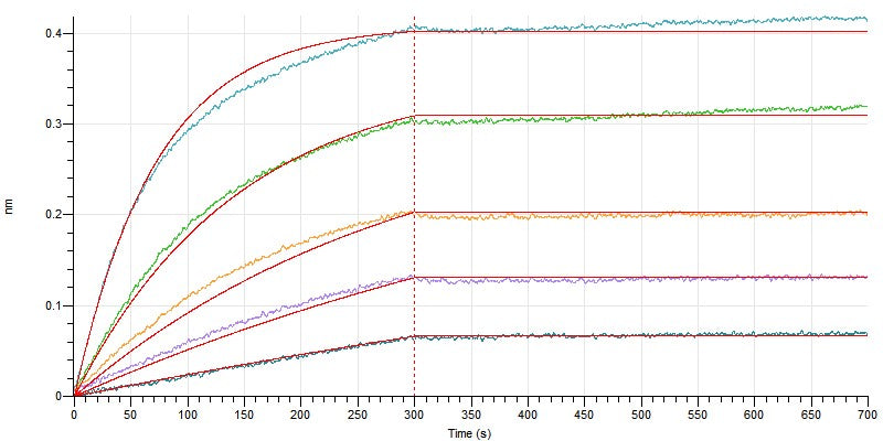 Recombinant Mouse IL-4RA (C-Fc)