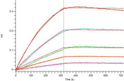 Recombinant Mouse APRIL (N-Fc)