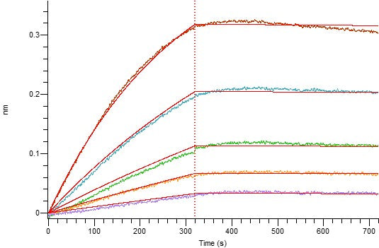 Recombinant Mouse APRIL (N-Fc)