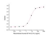 Recombinant Human B7-H4 (C-Fc)